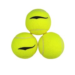 Tennisepallid Axer 3 tk. A2139 цена и информация | Товары для большого тенниса | kaup24.ee