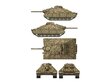 Das Werk - Schwerer kleiner Panzerkampfwagen German heavy tank project 1944 - 2 in 1, 1/35, 35019 цена и информация | Klotsid ja konstruktorid | kaup24.ee