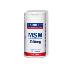 MSM 1000mg tabletid N120 цена и информация | Витамины, пищевые добавки, препараты для хорошего самочувствия | kaup24.ee