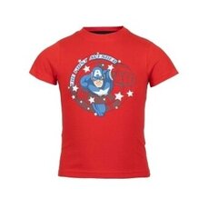 Детская футболка Avengers цена и информация | Рубашки для мальчиков | kaup24.ee