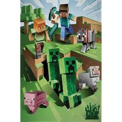 Laste fliistekk Minecraft, 100x150 cm цена и информация | Покрывала, пледы | kaup24.ee