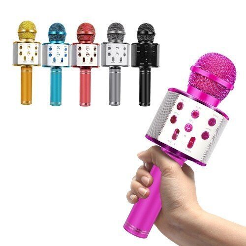 Karaokemikrofon ümbrisega, roosa hind ja info | Mikrofonid | kaup24.ee