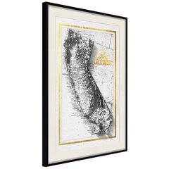 Poster Raised Relief Map: California, must raam koos paspartuuga hind ja info | Seinapildid | kaup24.ee