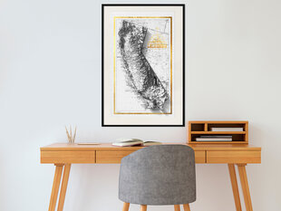 Poster Raised Relief Map: California, must raam koos paspartuuga цена и информация | Картины, живопись | kaup24.ee