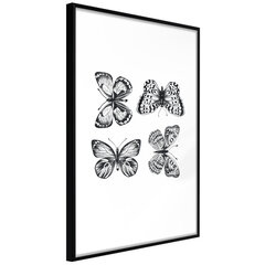 Poster Butterfly Collection, must raam hind ja info | Seinapildid | kaup24.ee