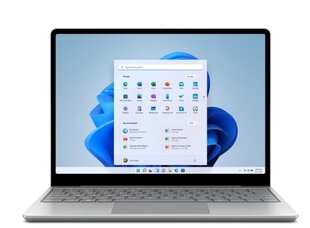 Microsoft 8QC-00024 цена и информация | Ноутбуки | kaup24.ee