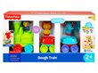 Rong + pusle Fisher Price, 3 värvi цена и информация | Arendavad mänguasjad | kaup24.ee