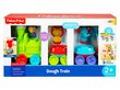 Rong + pusle Fisher Price, 3 värvi hind ja info | Arendavad mänguasjad | kaup24.ee