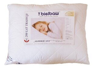 Подушка Bielbaw, 50х60 см, белая цена и информация | Подушки | kaup24.ee