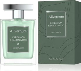 Parfüümvesi Allverne Cardamom & Sandalwood EDP meestele 100 ml hind ja info | Meeste parfüümid | kaup24.ee