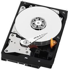 Western Digital WD PURPLE 4TB SATA III (WD40PURZ) цена и информация | Внутренние жёсткие диски (HDD, SSD, Hybrid) | kaup24.ee