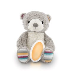 Медведь Bruno цена и информация | Игрушки для малышей | kaup24.ee