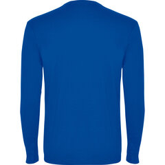 Футболка POINTER синяя цена и информация | Мужские футболки | kaup24.ee