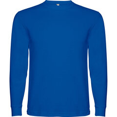 Футболка POINTER синяя цена и информация | Мужские футболки | kaup24.ee
