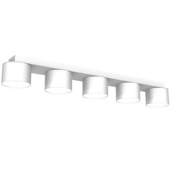 Настенный светильник DIXIE WHITE 1xGX53 цена и информация | Потолочные светильники | kaup24.ee