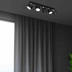 Настенный светильник DIXIE BLACK 1xGX53 цена и информация | Потолочные светильники | kaup24.ee