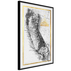 Poster Raised Relief Map: California, must raam hind ja info | Seinapildid | kaup24.ee