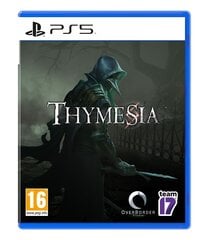 Thymesia Playstation 5 PS5 игра цена и информация | Компьютерные игры | kaup24.ee