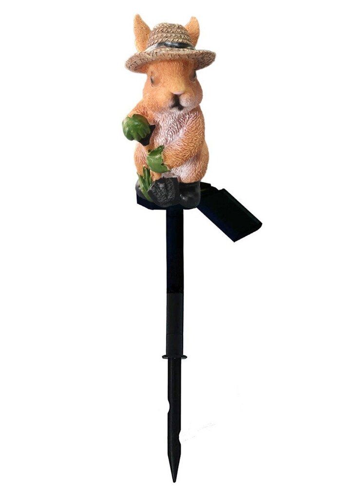 Aialamp - orav hind ja info | Dekoratsioonid | kaup24.ee