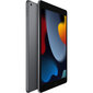 Apple iPad 2021 (256 GB) WiFi + LTE MK4E3FD/A hind ja info | Tahvelarvutid | kaup24.ee