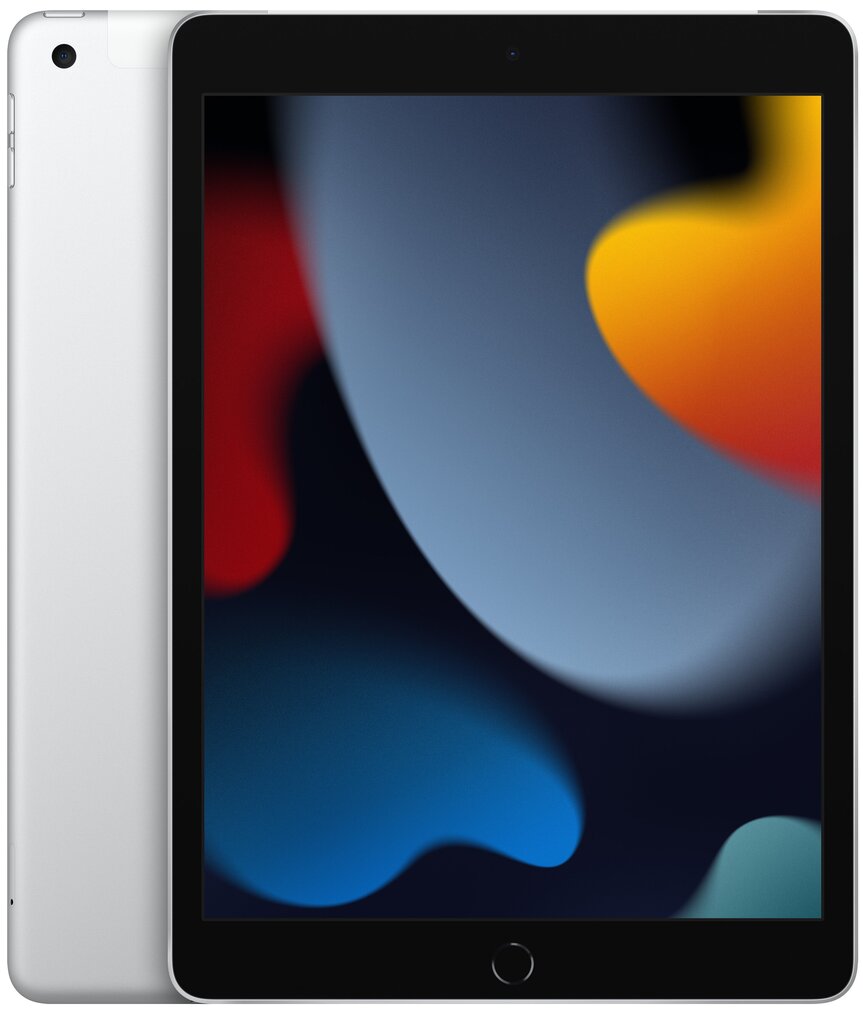 Apple iPad 2021 (256 GB) WiFi + LTE - MK4H3 цена и информация | Tahvelarvutid | kaup24.ee