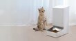 Lemmikloomatoidu dosaator Xiaomi Smart Pet Food Feeder hind ja info | Toidukausid loomadele | kaup24.ee