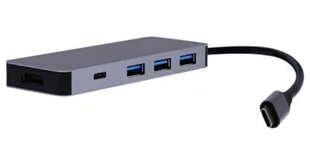 USB-C jaotur "9 in 1" hind ja info | USB jagajad, adapterid | kaup24.ee