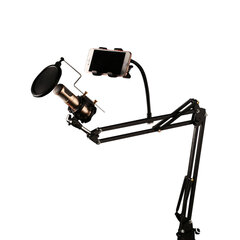 Remax CK-100 microphone stand with pop filter hind ja info | Remax Mobiiltelefonid, foto-, videokaamerad | kaup24.ee