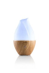 Увлажнитель ETA Aroma diffuser Aria ETA463490000 Ult цена и информация | Увлажнители воздуха | kaup24.ee