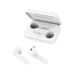 Forever Bluetooth earphones TWE-110 Earp white hind ja info | Forever Sisend ja väljundseadmed | kaup24.ee