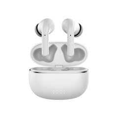 Forever Bluetooth ANC earphones TWE-210 Earp white цена и информация | Forever Внешние аксессуары для компьютеров | kaup24.ee