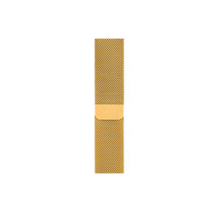 Milanese Loop – Kollane Kuld 42/44/45mm hind ja info | Nutikellade ja nutivõrude tarvikud | kaup24.ee