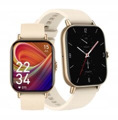 DT NO.1 DT94 Gold hind ja info | Nutikellad (smartwatch) | kaup24.ee