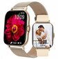 DT NO.1 DT94 Gold hind ja info | Nutikellad (smartwatch) | kaup24.ee