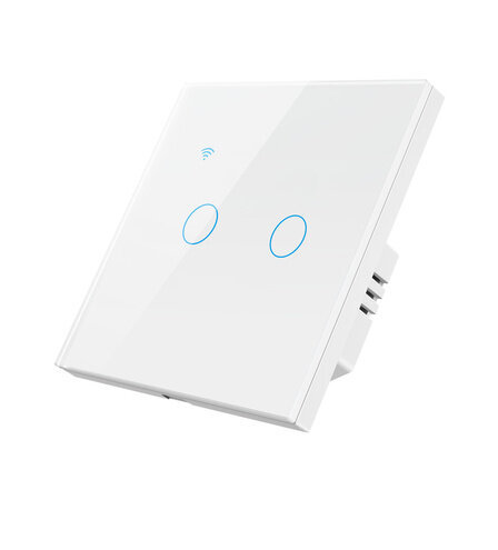 Lüliti Smart ZigBee Nous LZ1, 2 kanalit, 230V 2x200W, Smart Life hind ja info | Lülitid ja pistikupesad | kaup24.ee