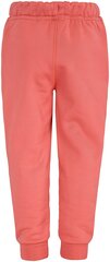 Детские спортивные штаны Didriksons CORIN, розовый цена и информация | Штаны для девочек | kaup24.ee