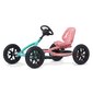 BERG Gokart Pedaalidele Buddy Lua kuni 50 kg UUS MUDEL hind ja info | Poiste mänguasjad | kaup24.ee