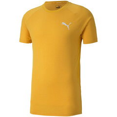 Meeste T-särk Puma Evostripe Lite Tee kollane 581534 25 цена и информация | Мужские футболки | kaup24.ee