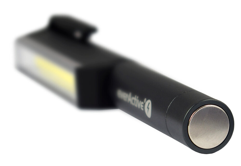 Flashlight everActive WL-200 3W COB LED цена и информация | Taskulambid, prožektorid | kaup24.ee