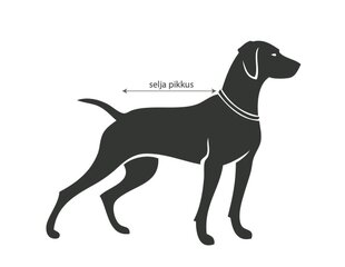 Рубашка с высоким горлом, для собак цена и информация | Одежда для собак | kaup24.ee