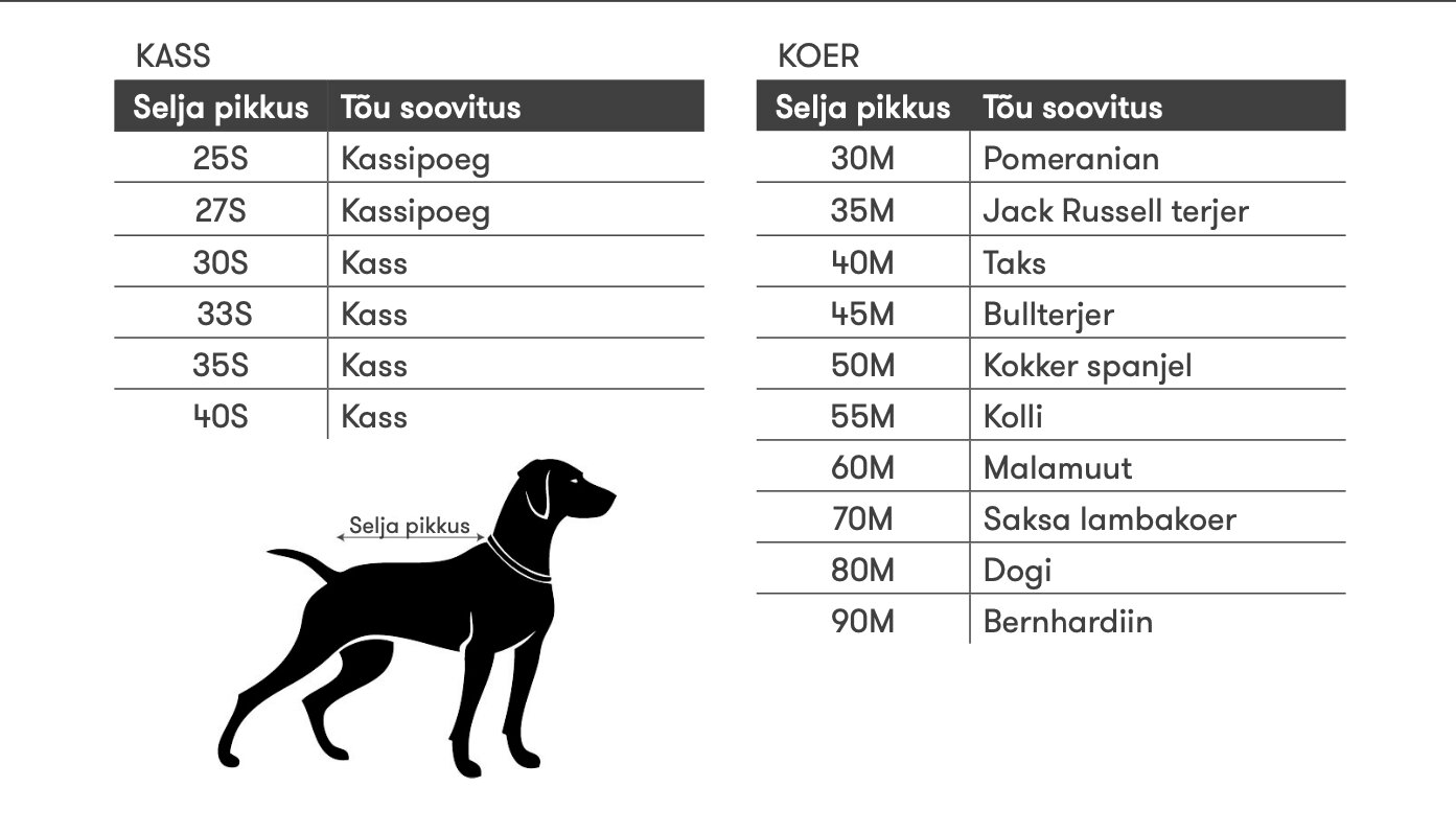 Operatsioonijärgne kõrge kaelusega särk kassile hind ja info | Riided koertele | kaup24.ee