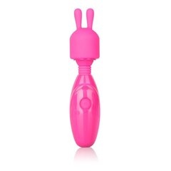 Vibraator Tiny Teasers Bunny, CalExotics цена и информация | Вибраторы | kaup24.ee