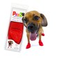 Kingad Pawz Dog 12 tk. Punane hind ja info | Hooldusvahendid loomadele | kaup24.ee