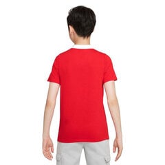 Laste T-särk Nike DF Park 20 Polo SS, punane CW6935 657 цена и информация | Футбольная форма и другие товары | kaup24.ee