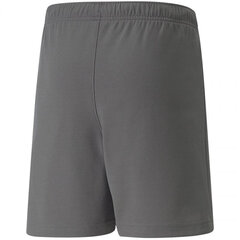 Шорты для мальчиков Puma TeamRise Short Jr 704943 13, серый цена и информация | Poiste lühikesed püksid | kaup24.ee