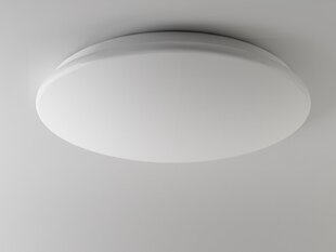 LED laelamp G.LUX GW-CP-LED-12W цена и информация | Потолочные светильники | kaup24.ee