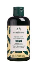 Toitev juuksepalsam The Body Shop Banana 250 ml цена и информация | Бальзамы, кондиционеры | kaup24.ee