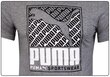 T-särk puma cat box tee 58776603 цена и информация | Meeste T-särgid | kaup24.ee