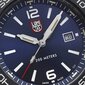 Meeste käekell Luminox Pacific Diver XS.3123.RF цена и информация | Meeste käekellad | kaup24.ee