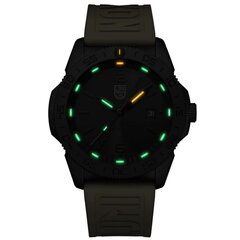 Мужские часы Luminox XS.3121.BO.GF цена и информация | Мужские часы | kaup24.ee